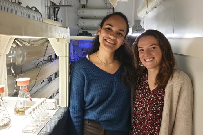 La journée internationale des femmes et des filles de science
