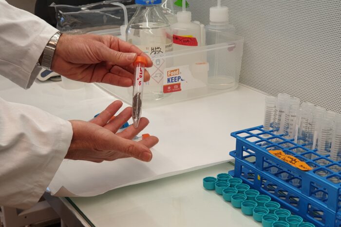 Dans les labos de l’Institut Universitaire Européen de la Mer à Plouzané 
