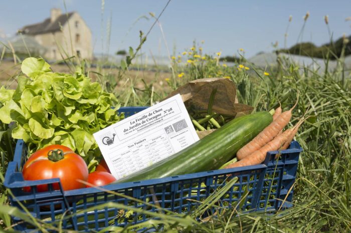 Les Amis du Jardin à Dinan : l’agriculture biologique comme vecteur d’insertion
