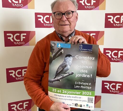 Le comptage national des oiseaux des jardins les 25 et 26 janvier 2025
