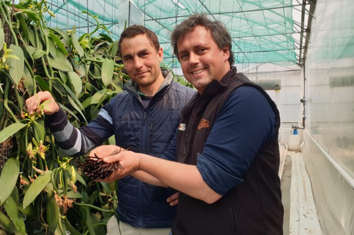 Produire de la vanille, c’est nouveau sur la région de Paimpol