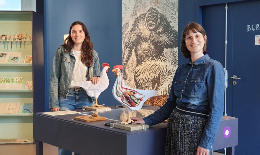 L’exposition « Plus ou moins bêtes » au Musée de l’Ecole Rurale de Trégarvan