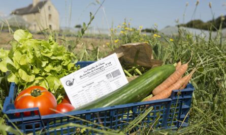 Les Amis du Jardin à Dinan © Jean-Philippe Berger