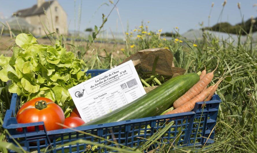 Les Amis du Jardin à Dinan : l’agriculture biologique comme vecteur d’insertion