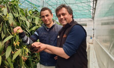 Thibault Nordey et Pierre Guyomar font pousser de la vanille dans la région de Paimpol © Christophe Pluchon