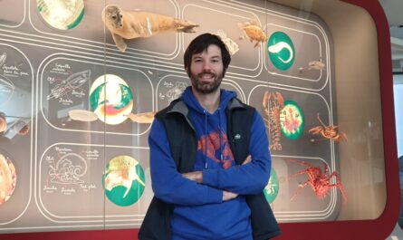 Tristan Hatin est responsable de la médiation et de la culture scientifique à Océanopolis à Brest © Christophe Pluchon