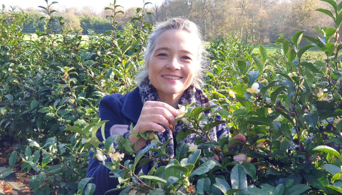 Nolwenn Jan : la Maison du Thé Breton à Quimper © Christophe Pluchon