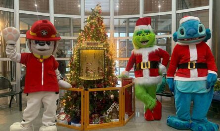 Association Haroz : des super-héros auprès des enfants hospitalisés © Haroz