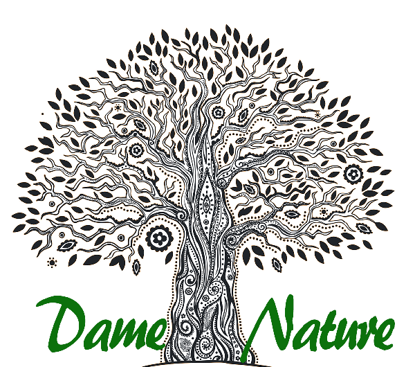 Dame Nature à La Gacilly : la santé par les plantes