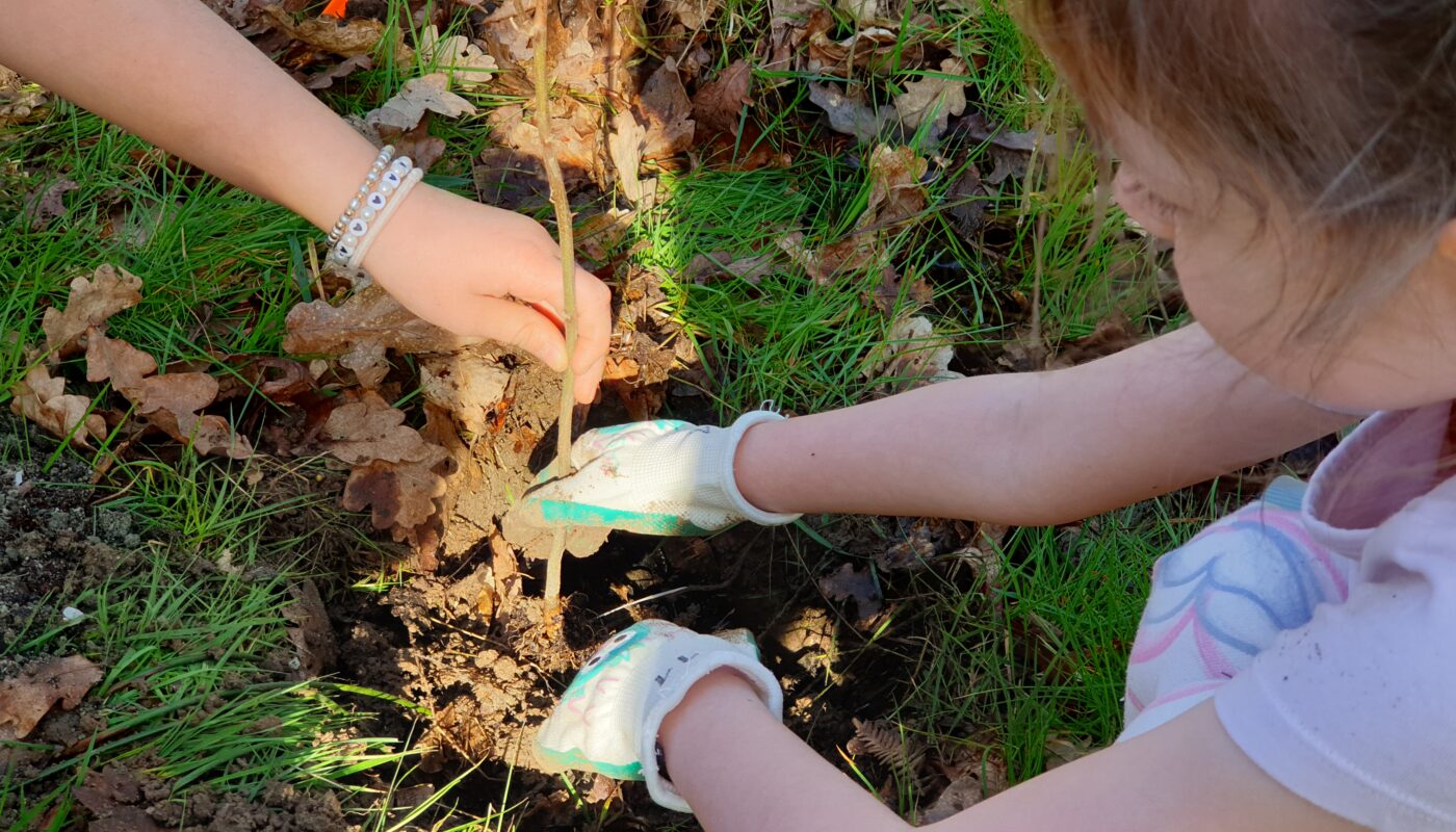 Plantation d'arbres à la Maison de la Terre à Lantic © Christophe Pluchon