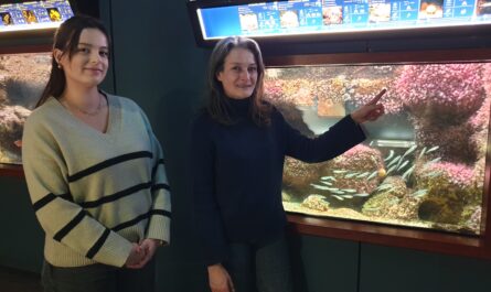 Clara Corvé, animatrice scientifique et Stéphanie Despas Massé, responsable du Marinarium de Concarneau © Christophe Pluchon