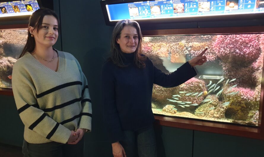 La Station Marine et le Marinarium de Concarneau