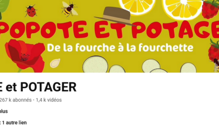 Popote et potager : des conseils pour cultiver et cuisiner