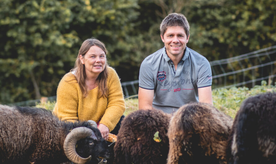 La Petite Filature Bretonne, à Plouguernével