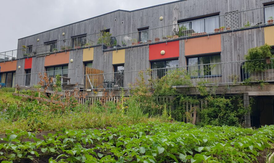 L&rsquo;habitat participatif Ti Kellid à Plomelin