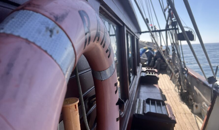 Sélim Ben Hassen : son voyage transatlantique sur le Rara Avis du Père Jaouen