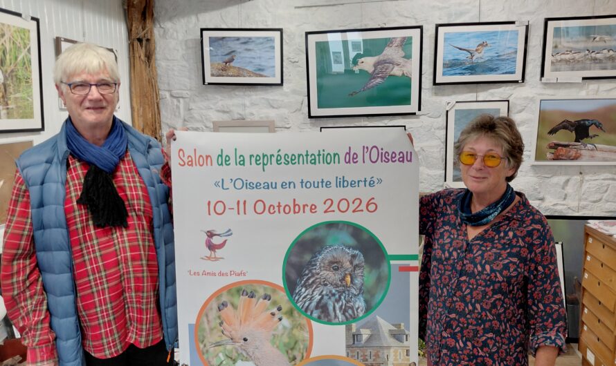 Le 4è Salon de la Représentation de l&rsquo;Oiseau, les 10 et 11 octobre 2026 à Camaret-sur-Mer
