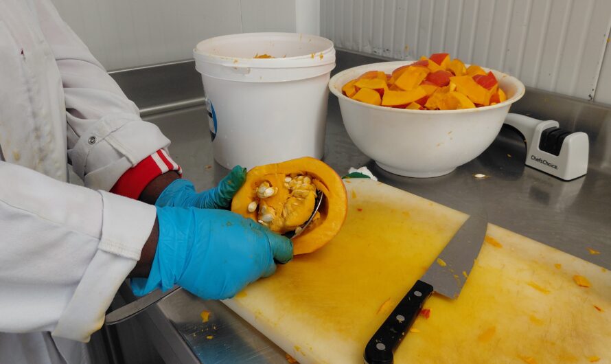 Insertion professionnelle : la conserverie artisanale de l&rsquo;AGDE à Plabennec