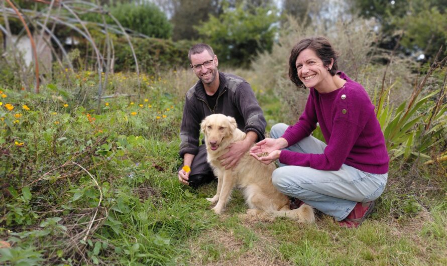 Myriam Laville et Sébastien Floc’h transforment leurs plantes aromatiques dans le Finistère